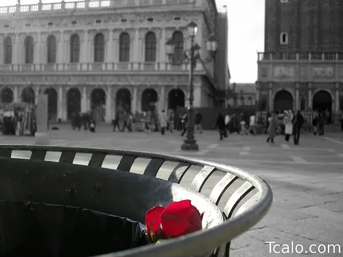 Expresando la Poesia. Propia autoria y creación