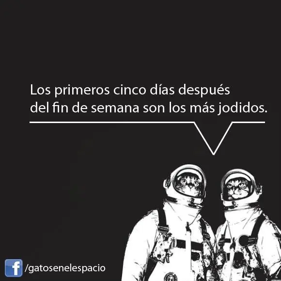 Imagenes graciosas