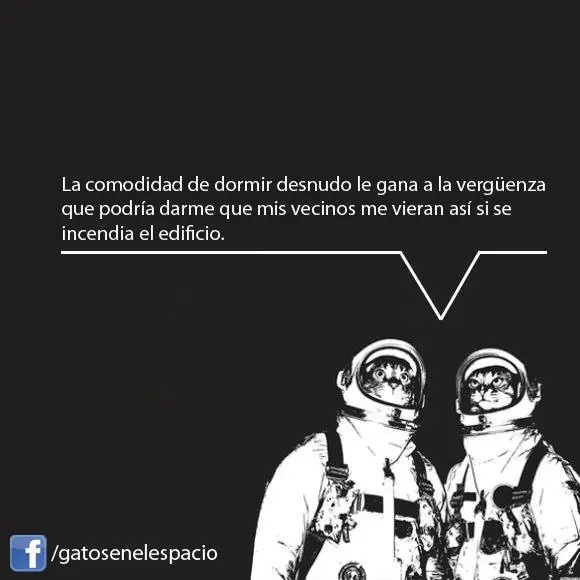Imagenes graciosas