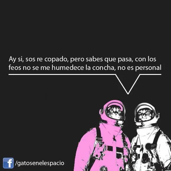 Gatos en el espacio (100 imágenes) Parte 5