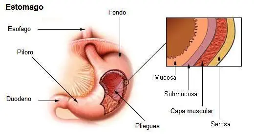 diagnostico