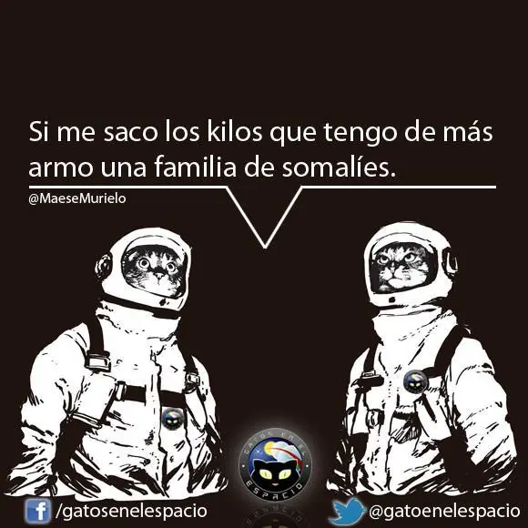 Gatos en el espacio (100 imágenes) Parte 5