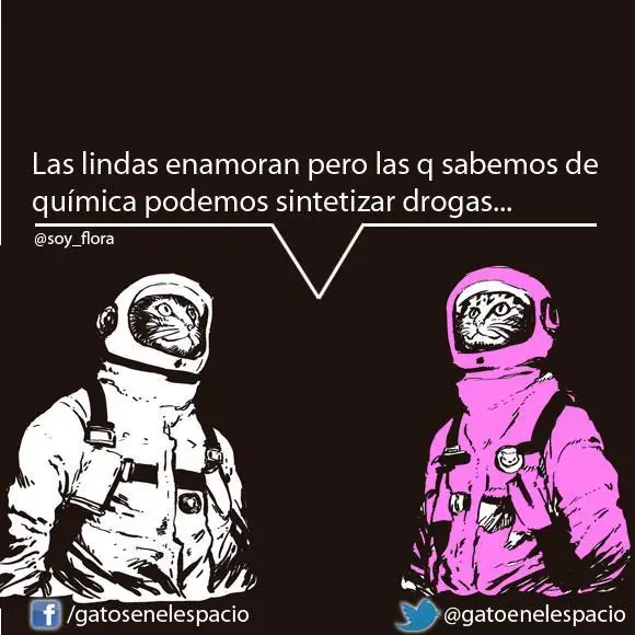 gatos en el espacio