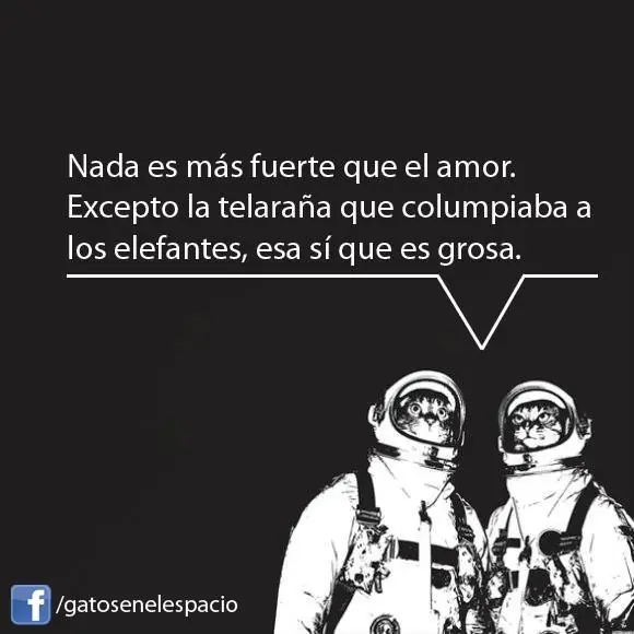 Gatos en el espacio (100 imágenes) Parte 5