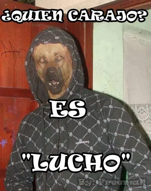 humor