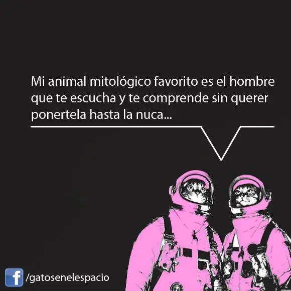 Imagenes graciosas