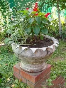 tu