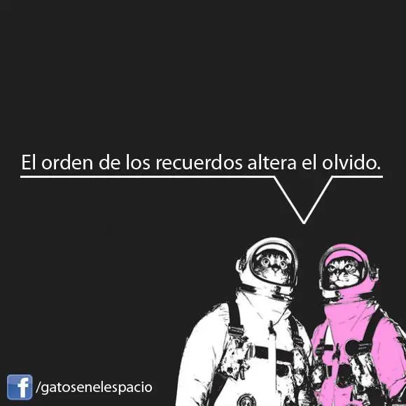 gatos en el espacio