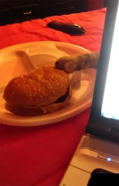 divertidos