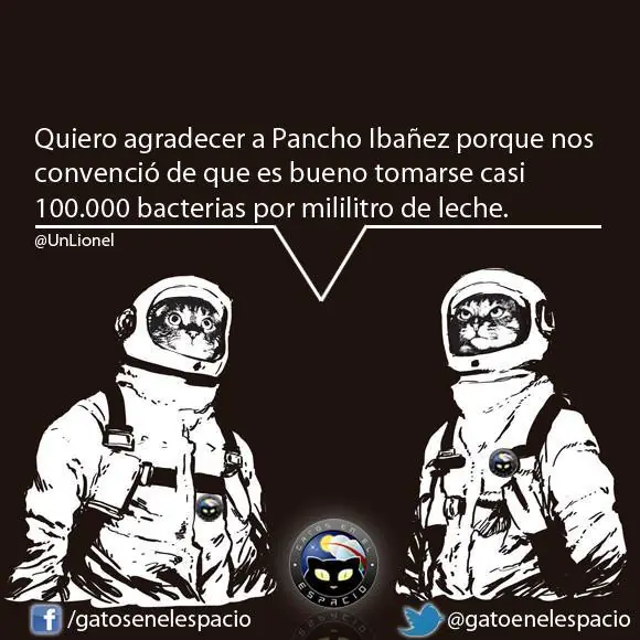 gatos en el espacio