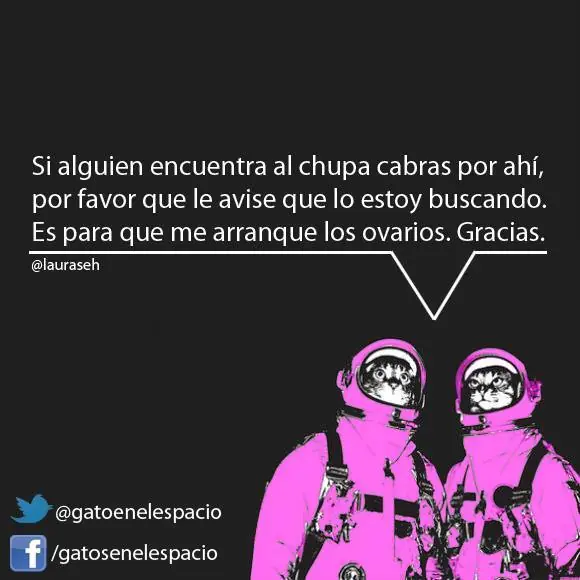 Gatos en el espacio (100 imágenes) Parte 5