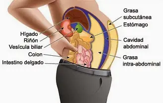 QUEMAR GRASA