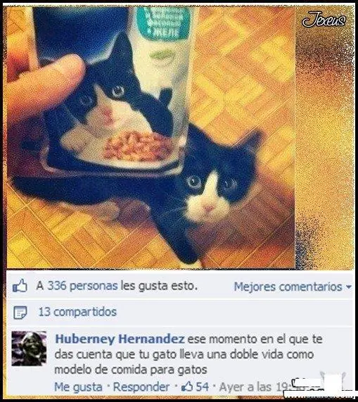para reirse