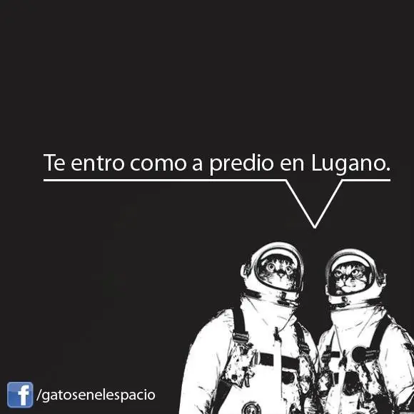 Imagenes graciosas