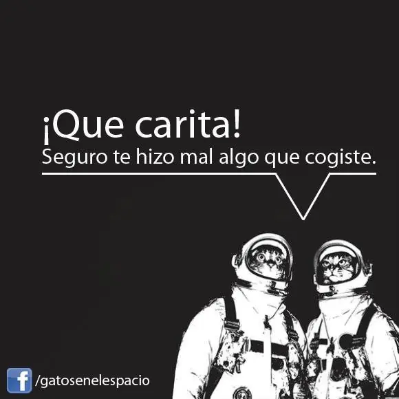Imagenes graciosas