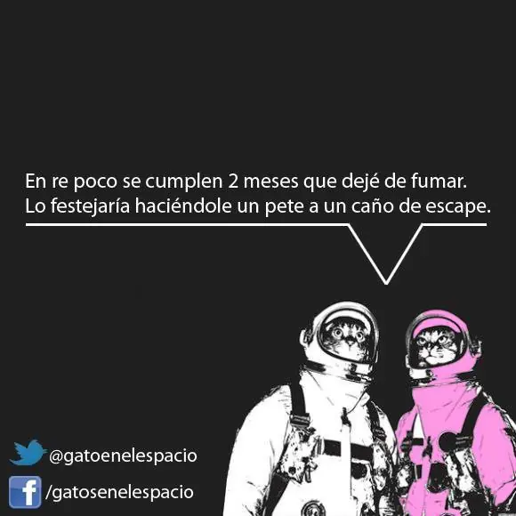 Gatos en el espacio (100 imágenes) Parte 5