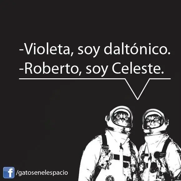 Gatos en el espacio (100 imágenes) Parte 5