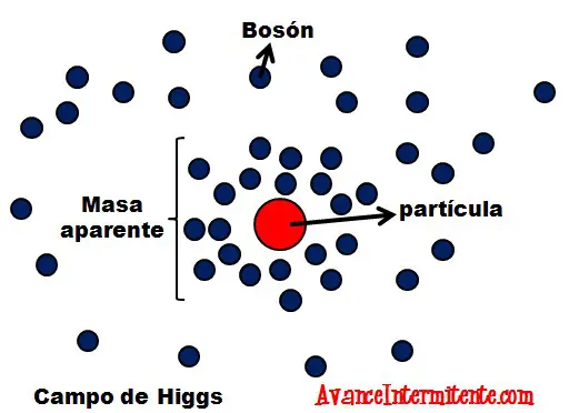 ¿¡Qué es la particula de Dios?