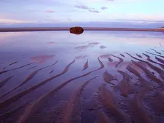 11 Consejos para tomar mejores fotografías