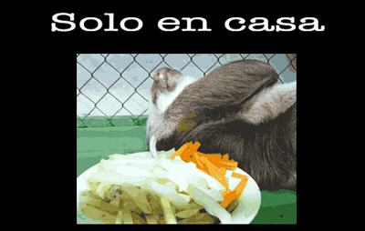 divertidos