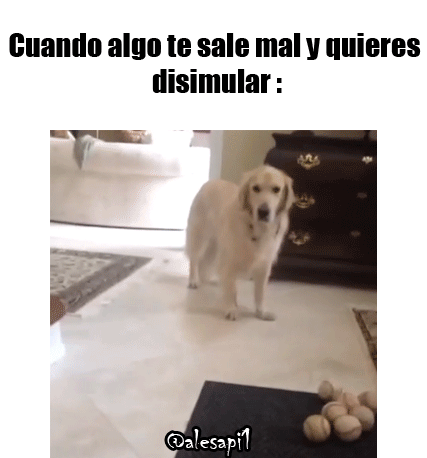 humor