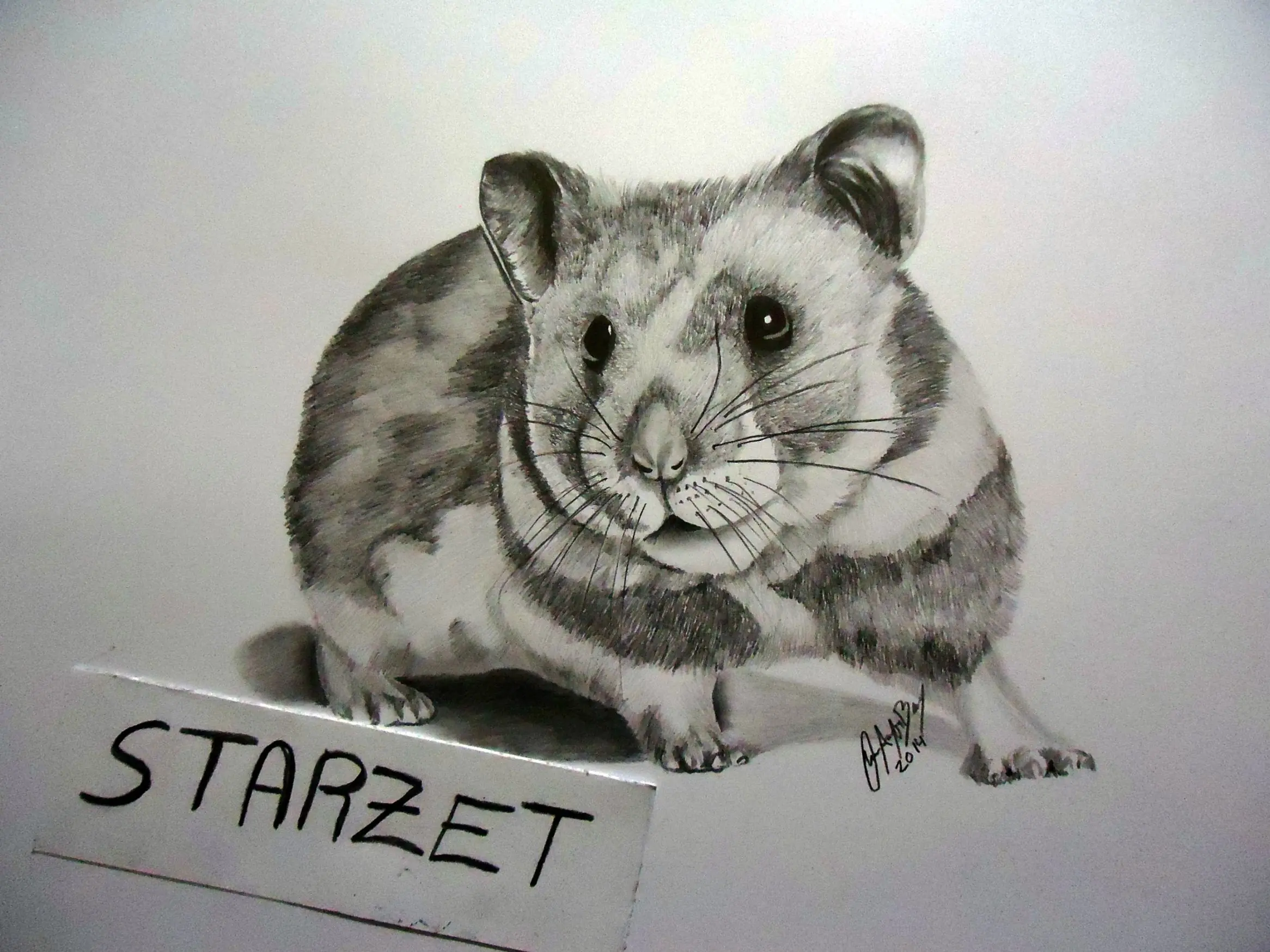 mouse