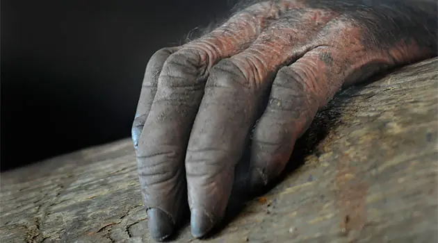 La Mano Peluda