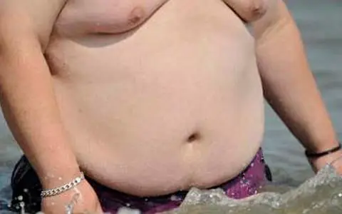 dieta
