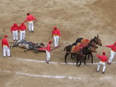 la realidad de las corridas de toros