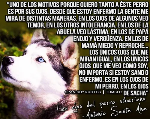 literatura juvenil