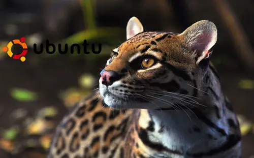 Las mejores aplicaciones multimediales para Ubuntu 11.10