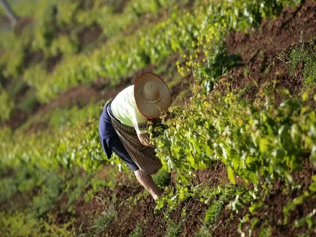 vinos rioja