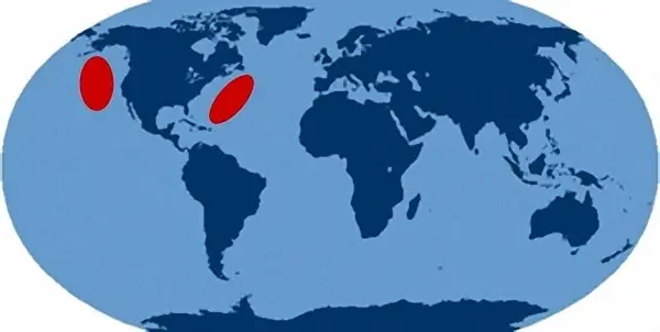 Submarinos