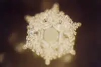 emoto