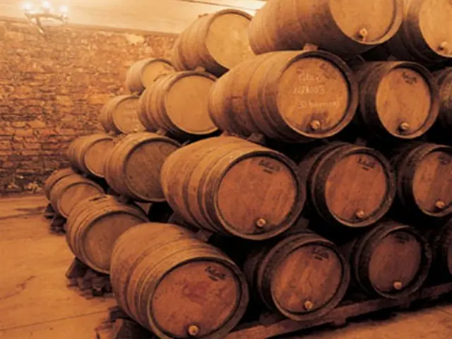 Te invito a un Rioja (JD)