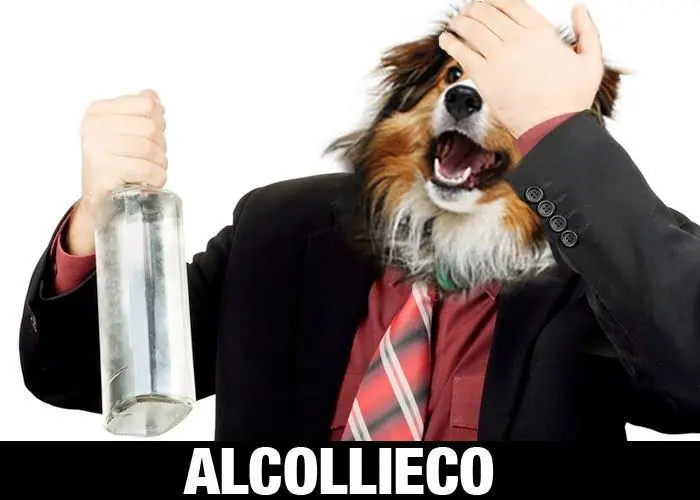 buenas