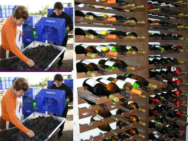 vinos rioja