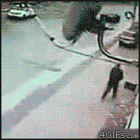 Aburrido? Mira estos gif´s