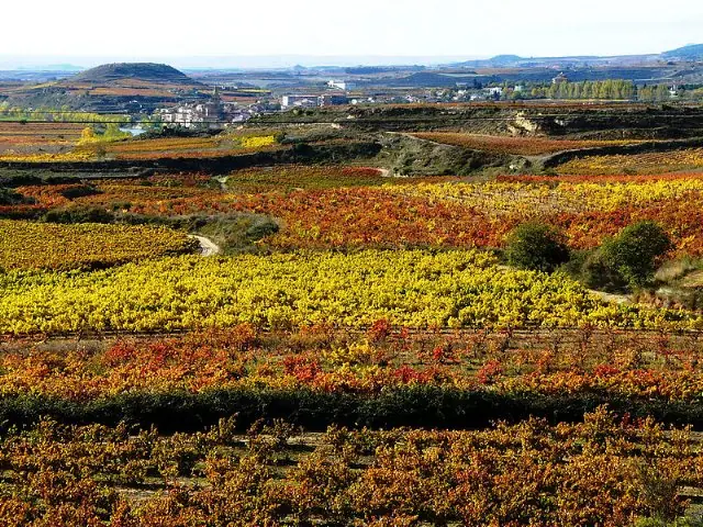 Te invito a un Rioja (JD)
