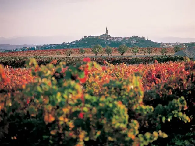vinos rioja