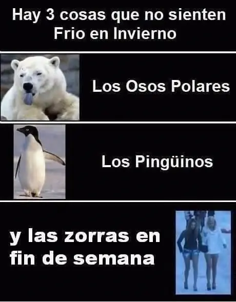 imagenes