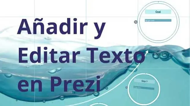 Texto