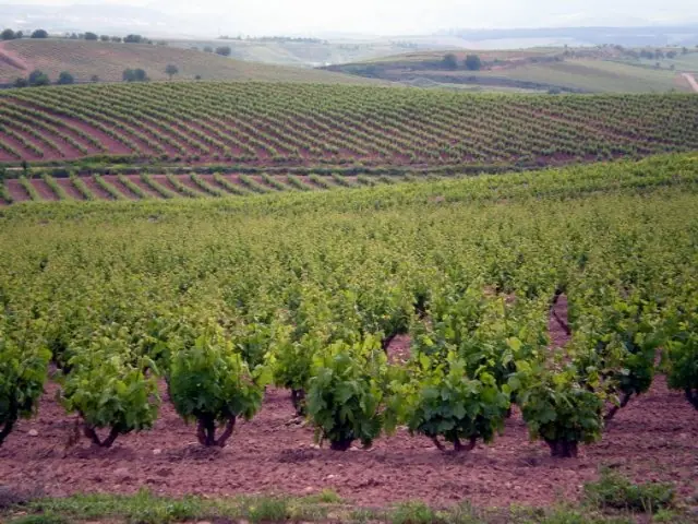 la rioja