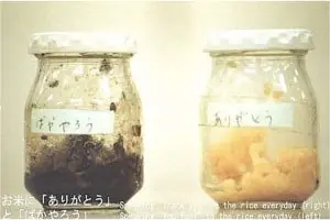 Experimentos de Masaru Emoto sobre las energias.