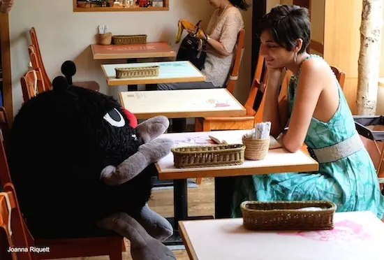 Dónde socializan los Taringueros?