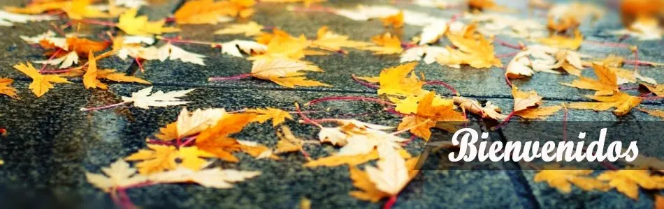 Entrenamiento espartano, supera tus límites.