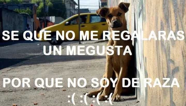 despues