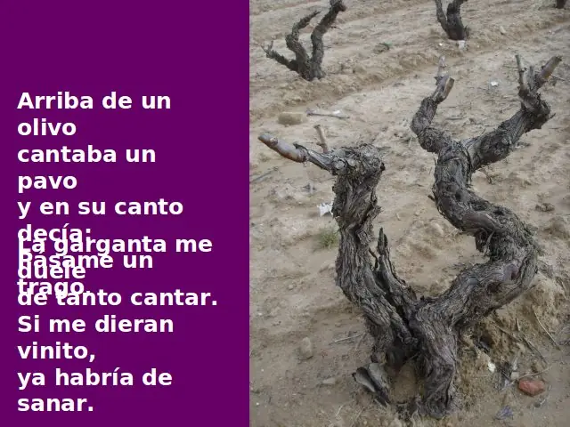 uvas