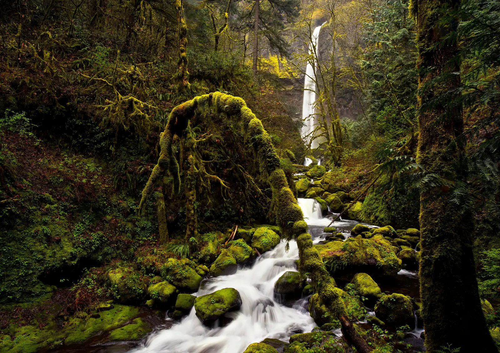 Paisaje