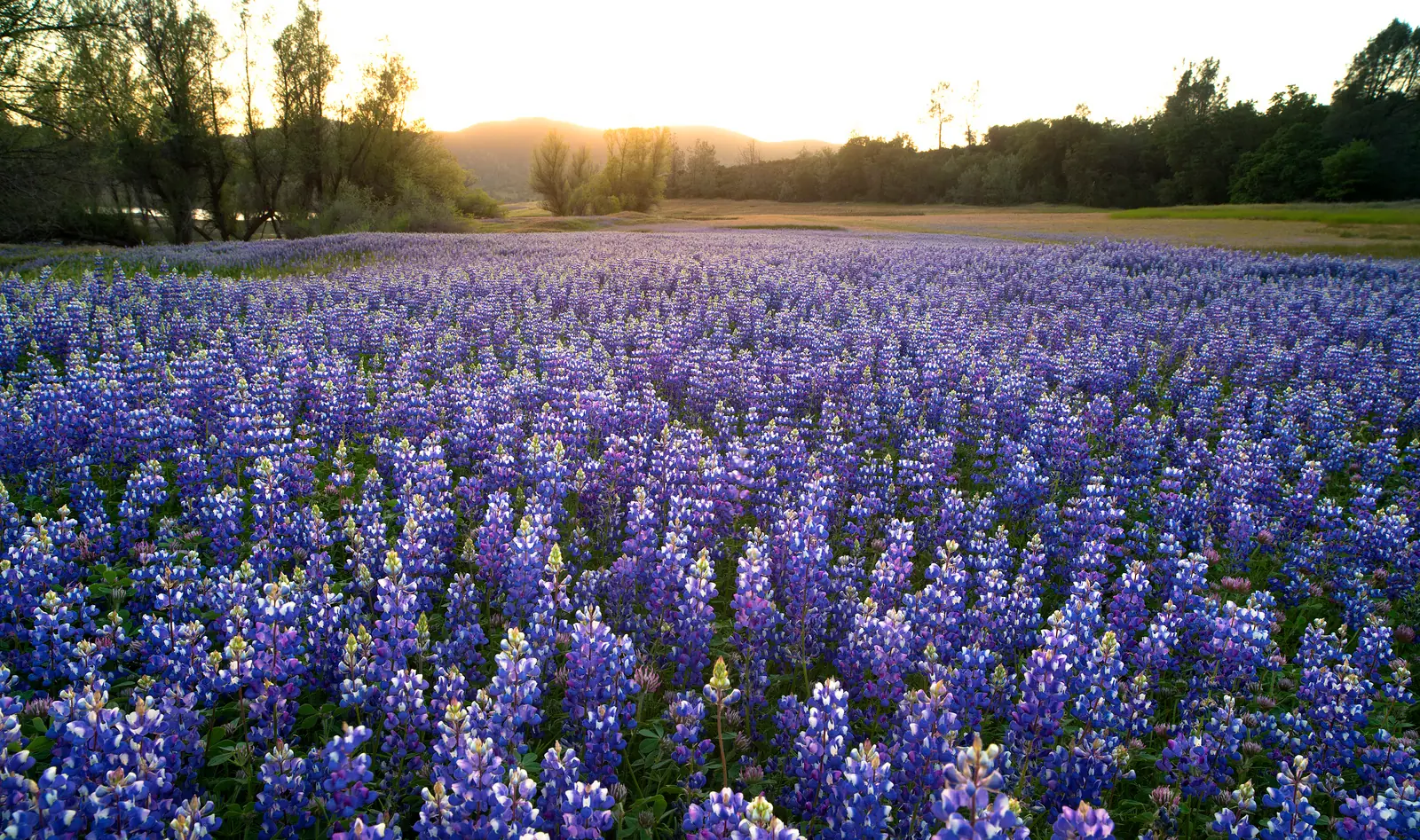 Paisaje